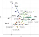Mapping the space of harmonic cadences between Brazilian choro, jazz and Anglophone popular music